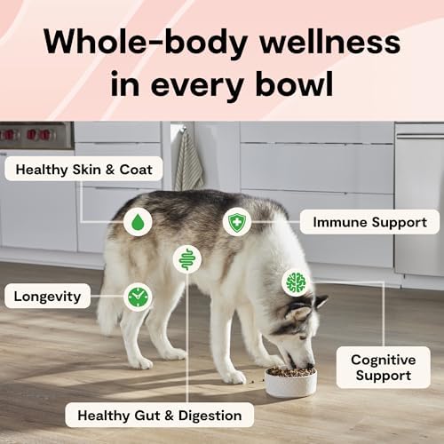 Open Farm GoodGut Dry Dog Food, Wild Caught Salmon w/Probiotics, 3.5lb Bag
