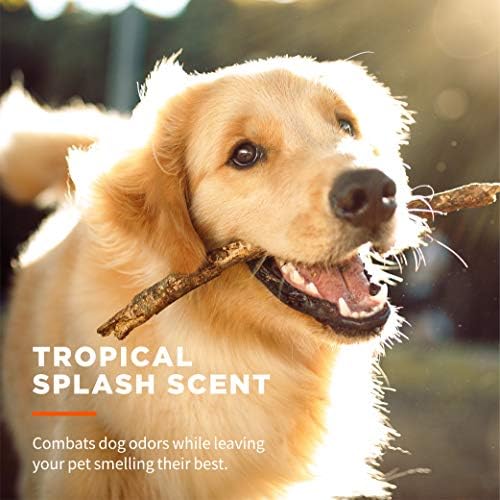 Wet Ones for Pets Multipurpose Dog Wipes, Tropical Splash, 100 Count, 12-Pk