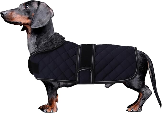 Dachshund Coat Dog Coats for Dachshunds Dachshund Winter Jacket with Padded Fleece Outdoor Dog Clothes with Adjustable Bands - Dark Blue - L