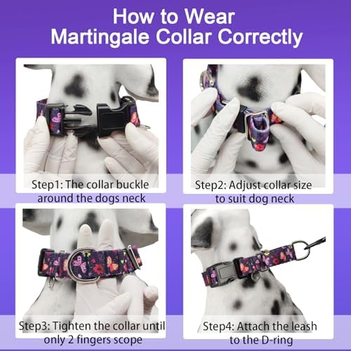 Martingale Collar for Dogs with Buckle No Pull, Purple Butterfly, S
