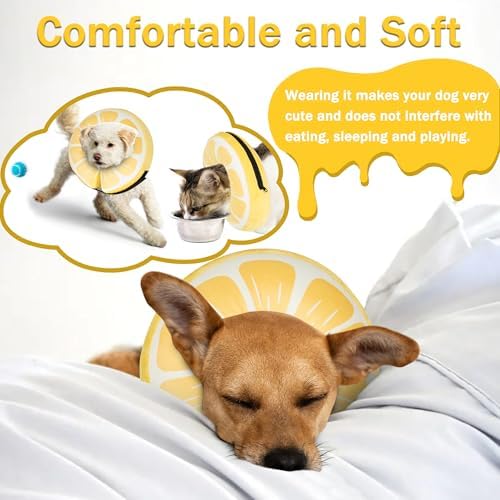 Inflatable Dog Cone Collar for Large Medium Small Dogs, Soft Adjustable Recovery Cone for Dogs Cats,Dog Neck Donut Alternative After Surgery(Lemon,Large