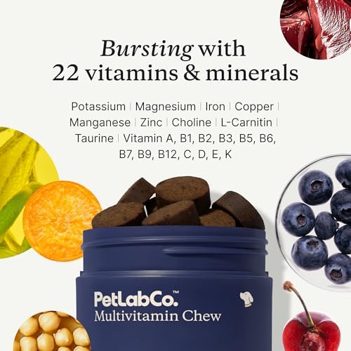 PetLab Co. 22-in-1 Multivitamin Chews, 2-Pack, Pork Flavor