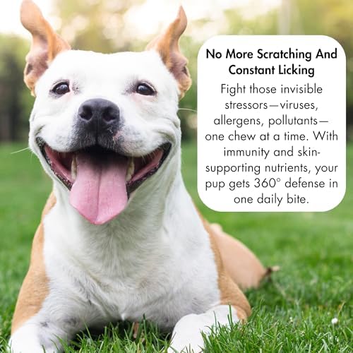 Allergy Relief for Dogs - Dog Itchy Skin & Dog Skin Allergies Treatment Chews with Natural Antihistamine, Colostrum, Salmon Oil, Probiotics for Seasonal Allergies Dogs - 120 Beef Flavor Soft Chews