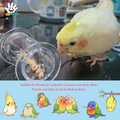 Bird Foraging Toys, Interactive Parrot Puzzle Feeder for Mental Enrichment, Clear Acrylic Treat Dispenser Wheel for Small to Medium Birds, Cockatiel, Conure, Parakeet, Budgie (1 Pack)