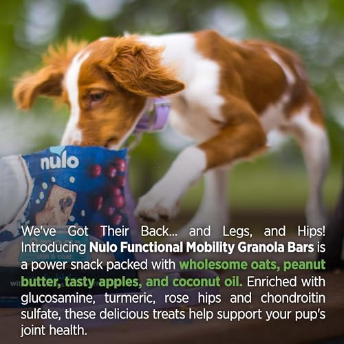 Nulo Functional Granola Bars, Healthy Dog Treats, Oven Baked, Made with Prebiotics and Probiotics, Contains No Added Salt, Sugar, or Molasses, 10 Ounce Bag