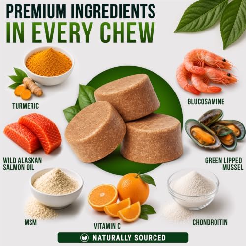 Glucosamine Hip & Joint Supplement for Dogs - Chews with Chondroitin & MSM