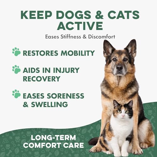 BestLife4Pets Walk-Easy Dog Hip & Joint Supplement - 2 Pack