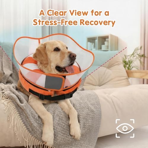 Avont 2-in-1 Dog Cone XL Swimring Shield