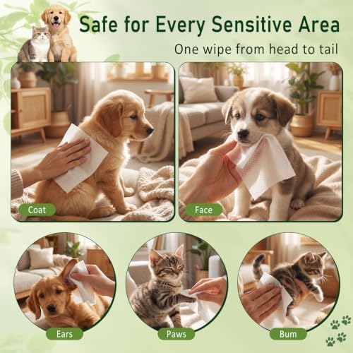 50 PCS Dog Wipes Dog Grooming Wipes Individually Wrapped Pet Wet Wipes