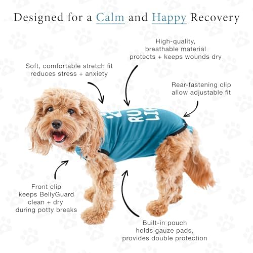 BellyGuard Dog Surgery Recovery Suit, Male Female After Spay Neuter Onesie