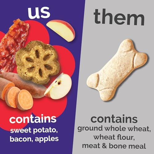 Fruitables Skinny Mini Dog Treats, Training Treats, Bacon & Apple, 12oz