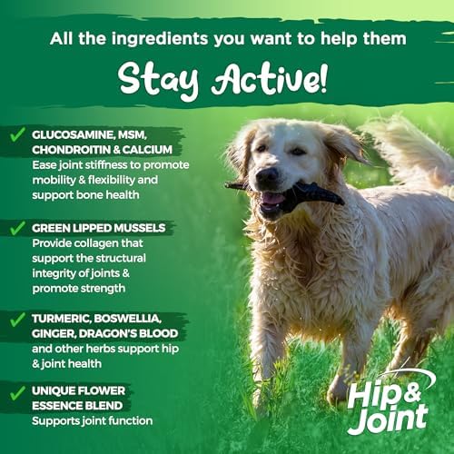 Vital Planet - Natural Hip and Joint Supplement for Dogs - Potent Herbal Blend with Green Lipped Mussel, MSM and Glucosamine Beef Flavor (60 Chewable Tabs)