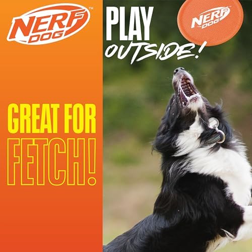 Nerf Dog Nylon Flyer Dog Toy, Flying Disc, Lightweight, Durable and Water Resistant, Great for Beach and Pool, 9 inch diameter, for Medium/Large Breeds, Single Unit, Orange