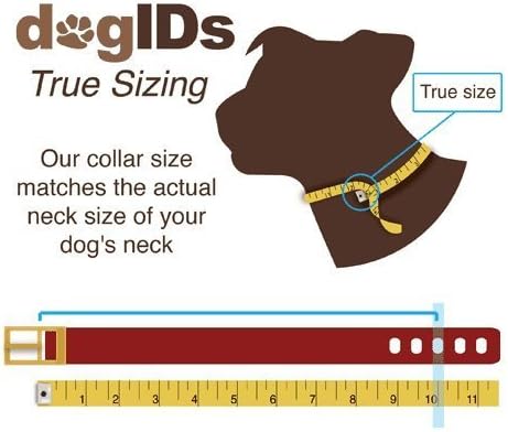 dogIDs Personalized Dog Collar – ScruffTag Custom Waterproof Biothane Dog Collar with Laser-Engraved Name, Durable & Odor-Resistant – USA Made | Lavender, 1 in x 16 in (Fits Neck Sizes 14-18 in)