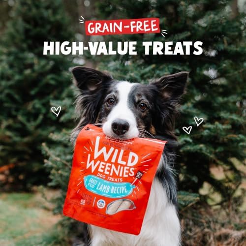 Stella & Chewy's Freeze-Dried Raw Wild Weenies Dog Treats - High-Protein Training Treats for Dogs & Puppies - All-Natural Grass-Fed Lamb Recipe with 97% Meat & Organs - USA Made - 3.25 oz Bag
