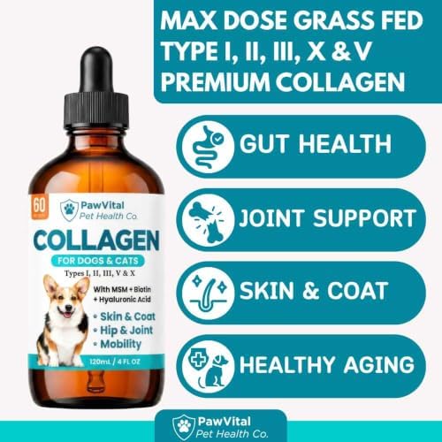 Liquid Collagen for Dogs – 1000mg 5 Types Grass-Fed Collagen Peptides (I, II, III, V & X) with MSM, Glucosamine, Chondroitin, Hyaluronic Acid – Skin & Coat, Itch Relief, Hip & Joint Support – 4oz