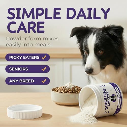 Digestive Enzymes for Dogs, Kibble Digestion & Pancreatic Enzyme Powder