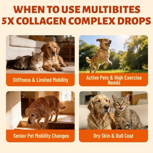 5-Type Liquid Collagen for Dogs & Cats, Chicken Flavor, 2 oz
