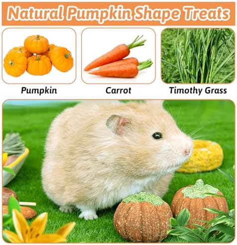 Fhiny 6 PCS Rabbit Chew Toys, Natural Pumpkin Carrot Timothy Grass Guinea Pig Chew Toys for Teeth Bunny Molar Snacks Dental Care Hamster Treats for Bunny Guinea Pig Chinchilla Hamster Gerbil
