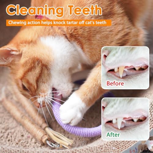 Tocirelo Silvervine Sticks & Cat Chew Rope, Natural Cat Chew Toy for Teeth