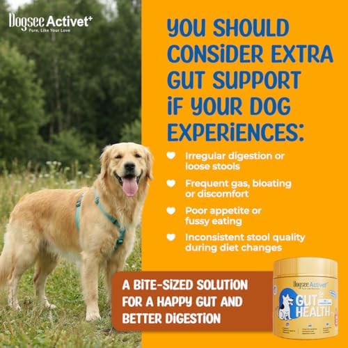 Dogsee Activet+ Dog Gut Health Supplement Chews, with Probiotics, Prebiotics, Digestive Enzymes & Fiber, Supports Digestion, Prevents Diarrhea, Loose Stool and Itchy Skin, Chicken Flavor – 90 Chews