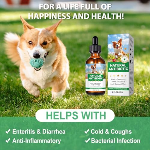 Antibiotics for Dogs, Natural Antibiotics for Dogs, Dog Antibiotics for Infection Supports Immune & Dogs Allergy Relief, Dog Multivitamin UTI Drops Natural Supplement for All Ages & Breeds-2PCS