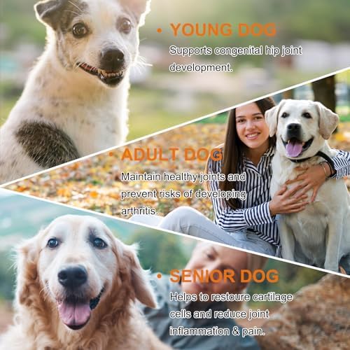 Hip and Joint Supplement for Dogs,Hip & Joint Pain Relief Pills - Large & Small Breed - Hip Joint Chews Canine Joint Health,Mobility & Flexibility Support -Duck Flavor 60 Count