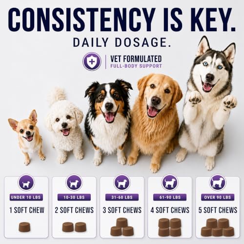 25-in-1 Dog Vitamins and Supplements, Dog Multivitamin Chews w/Glucosamine