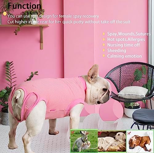 Recovery Suit for Female Dogs, Dog Cone Alternative After Spay