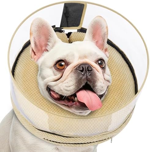 Inflatable Dog Cone with Clear Shield for Added Coverage