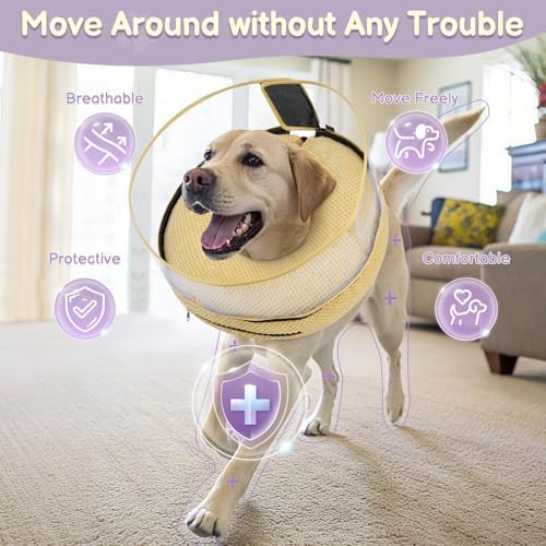 Inflatable Dog Cone with Clear Shield for Added Coverage