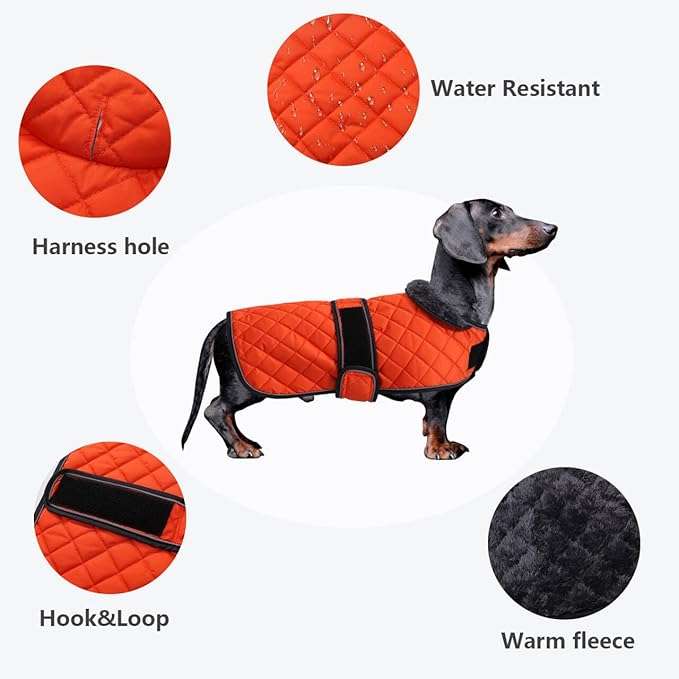 Dachshund Coat Dog Coats for Dachshunds Dachshund Winter Jacket with Padded Fleece Outdoor Dog Clothes with Adjustable Bands - Orange - S