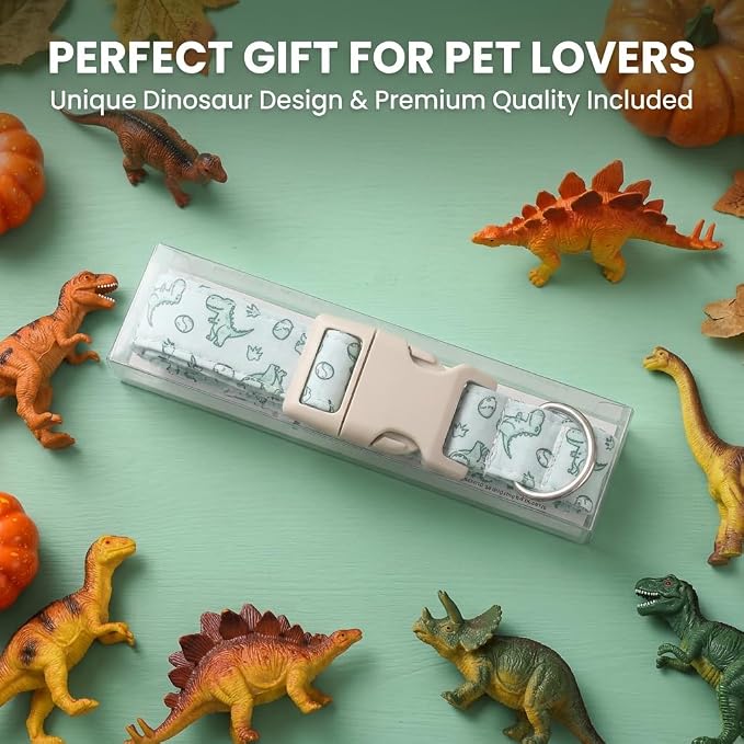 Dinosaur Dog Collar, Medium Dog Collar for Boy Girl Dog, M