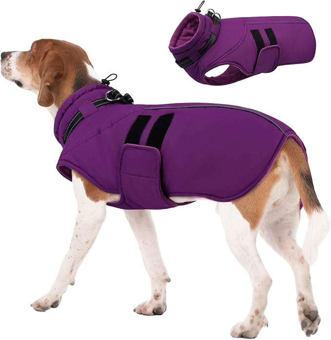 IECOii Winter Dog Coats for Large Dogs, Dog Snow Jacket with Built in Collar & Reflective Strips, Warm Windproof Fleece Dogs Jacket for Cold Weather, Adjustable Easy On Pet Snowsuit, Purple - XL