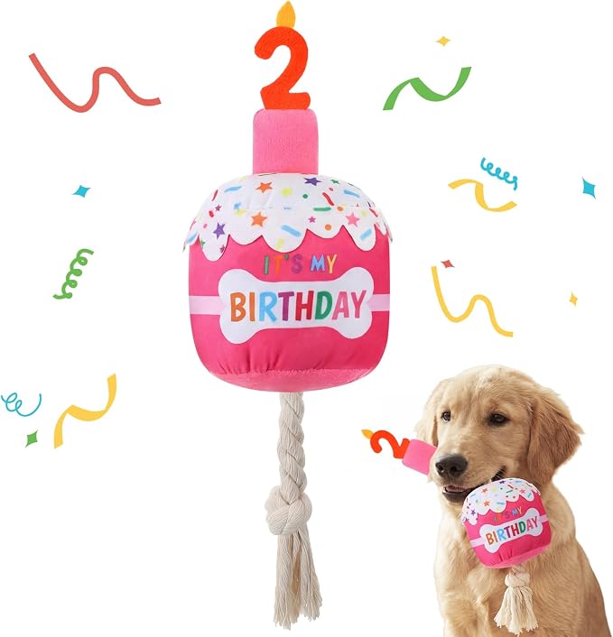 Dansydaisy Dog Birthday Cake Toy Squeaky Plush Gift,2nd,Rose Pink