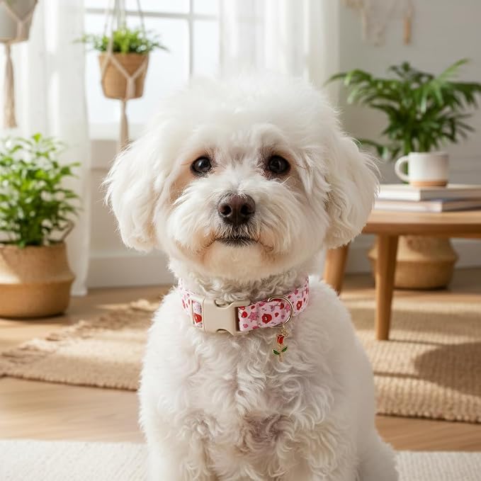 Dog Collar for Medium Dogs, Girl Dog Collars with Kisses Pattern, Cute Pet Collar with Soft Fabric and Quick Release Buckle, Adjustable for Medium Dogs