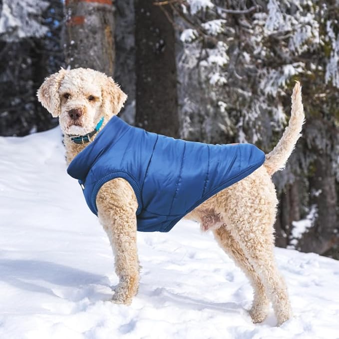 Warm Dog Coat, Windproof Dog Jacket Fleece Pet Winter Coats Solid Color Dogs Clothes Cold Weather Pet Jacket Vest Soft Puppy Apparel for Small Medium Dogs Cat (S, Blue)