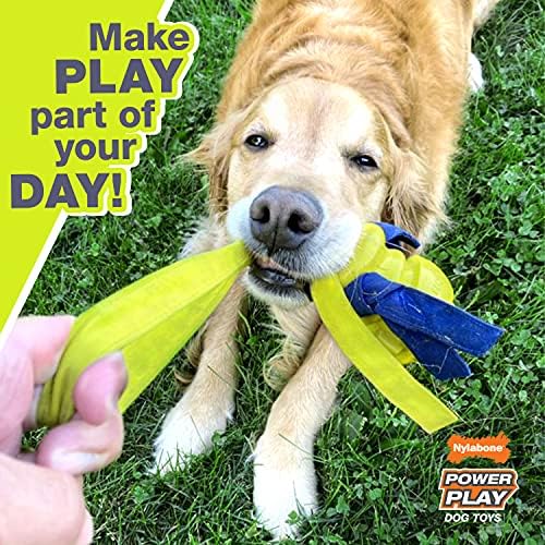 Nylabone Power Play Tennis Teddy Gripz Dog Fetch Toy, Medium