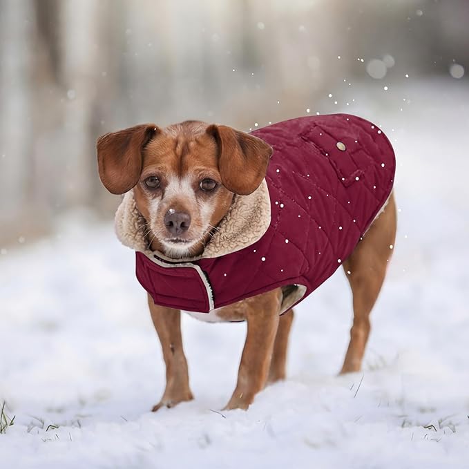 Large Dog Winter Jacket, Pet Warm Windproof Coat Dogs Cold Weather Coats Snow Jacket Pets Clothes, Golden Retriever, Labrador Retriever, Husky, Burgundy L