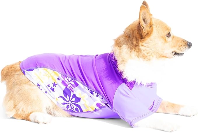 PlayaPup Dog Sun Shirt, USA Made (UPF 50+), Peoni, Small