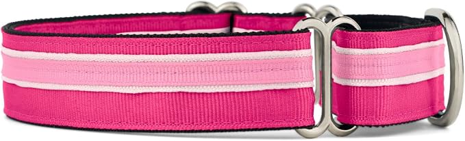 If It Barks 1" Martingale Collar for Dogs, Adjustable Nylon, USA Made, Large, Bubble Gum