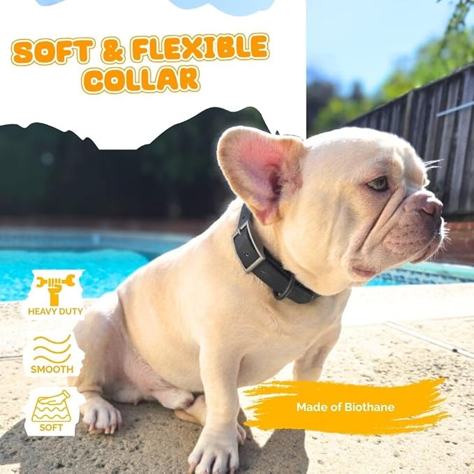 Waterproof Dog Collar, Soft Comfortable Pet Collars, Adjustable Odor Proof Heavy Duty Dog Collars Easy to Clean for Large, Medium Small Dogs by Bee N Buu (Black, Small (length8-12, Width 3/4"))