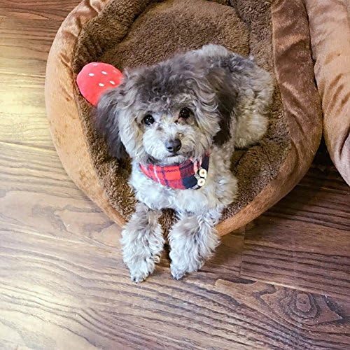 Small Dog Costume Collar - Leather Bowtie Kitten Bandana Collar for Halloween - Teacup Yorkie Chihuahua Clothes Outfits Accessories, Adjustable (Navy Note Bow + Bandana, 8.7 to 11-Inch)