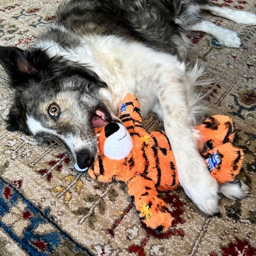 KONG Wild Knots Tiger Dog Toy (Medium/Large) Durable Internal Knotted Rope, Minimal Stuffing for Less Mess – Soft Plush Chew Toy for Dogs