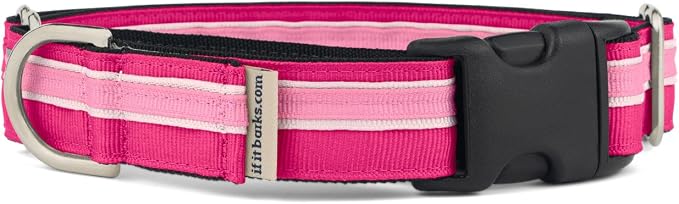 If It Barks 1" Martingale Collar with Quick Snap Release Buckle, Adjustable, USA Made, Medium, Bubble Gum