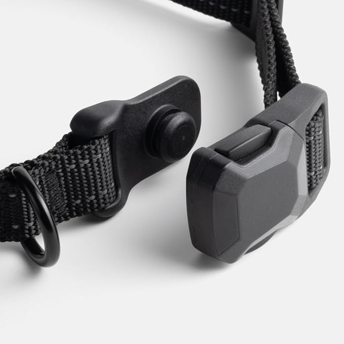 Dog Training Collar to Stop Dog from Pulling on Walks, Remote-Free (LG)