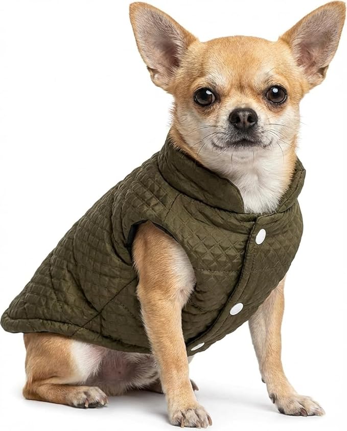 Soft Warm Small Dog Coats Lightweight Pet Dog Winter Jackets for Small Medium Dogs Puppy Cold Weather Coat Pet Clothes, Green, X-Large