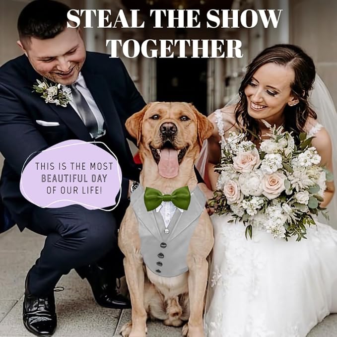 AVERYDAY Dog Tuxedo for Wedding Outfit, Dog Suit and Tie Costumes for Birthday, Halloween, Cosplay, Christmas Party, Pet Formal Wear with Bowtie, Tux for Medium Large Dogs, Bulldog, Labrador, Husky