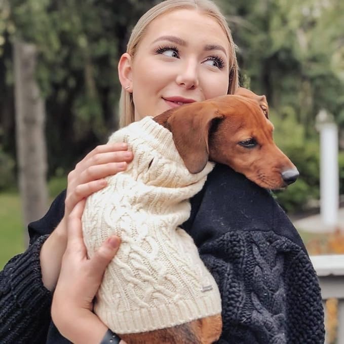 Blueberry Pet Classic Knit Dog Sweater, Pullover Turtle-Neck Christmas Dog Sweater, Ivory, 12” Back Length, Cozy & Soft