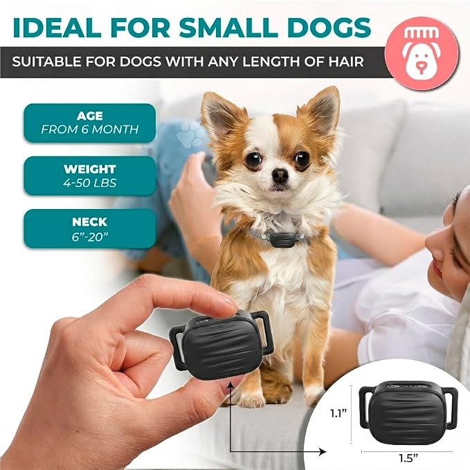 generic Bark Collar for Small/Medium Dogs, No Shock Anti Bark Collar, Rechargeable (Anthracite,1 Pack)
